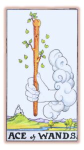 ace-of-wands